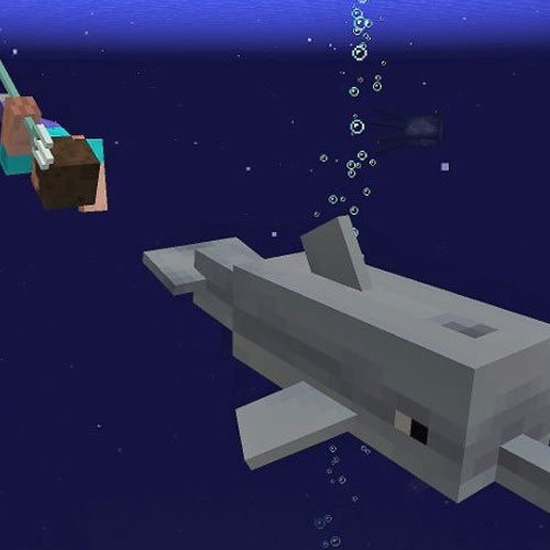 Minecraft Aquatic Update